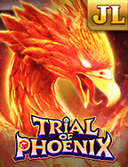 bet surface area คือ สิ่งที่นักพนันต้องรู้